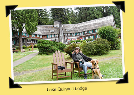 Dinner over the fire