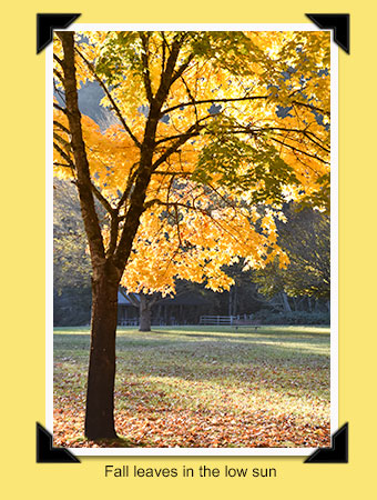 Sunnyside Campground